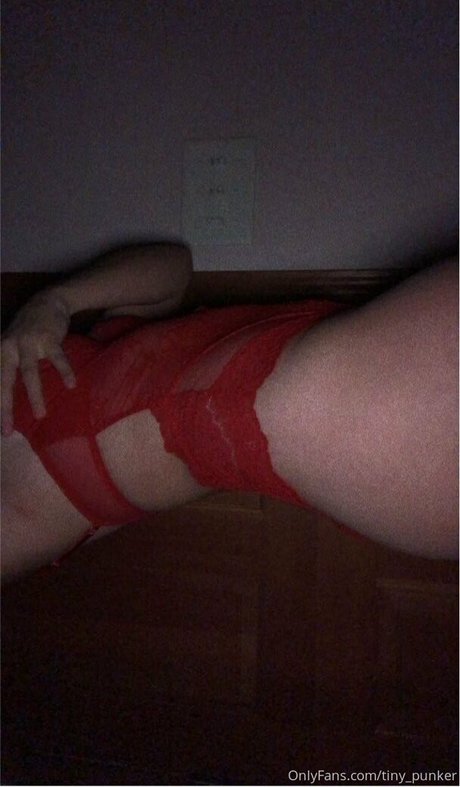 tiny punker top model image