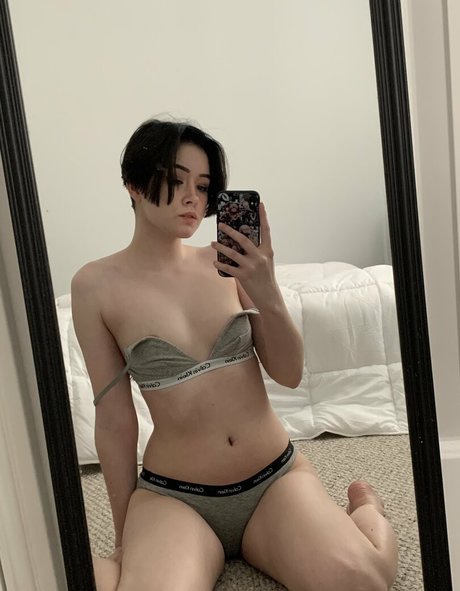 Breadboodle star exclusive galleries