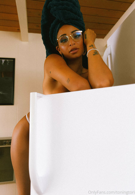 toningtori adult model image