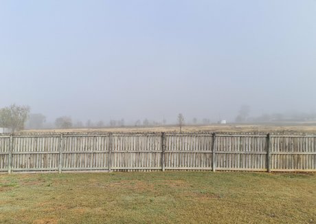 toniclust star pretty picture