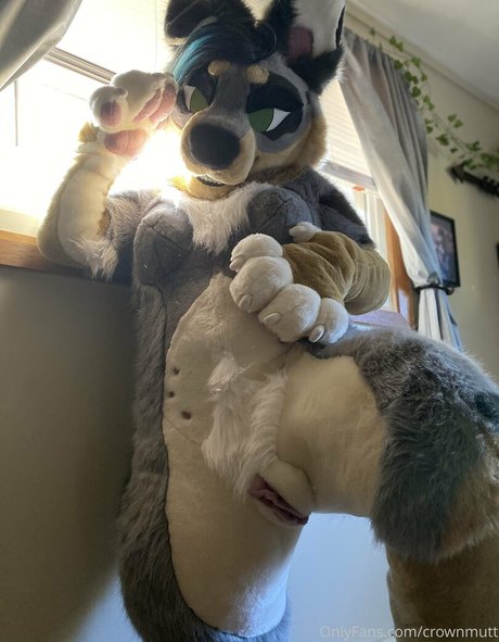 crownmutt nude model pic