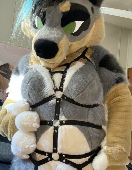 crownmutt model top pics