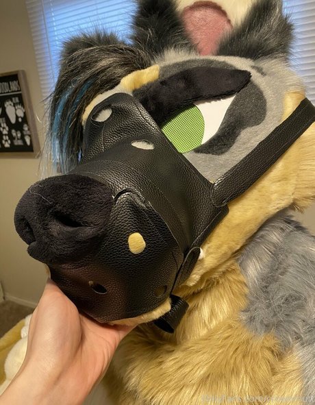 crownmutt hd actress photo