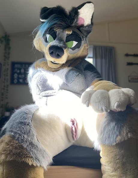 crownmutt top model photo