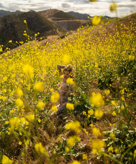 thepennyarcher star beautiful images