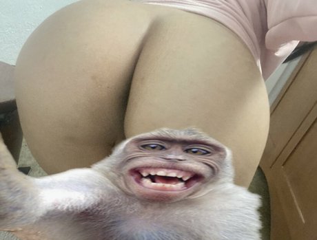 Paula Rossi model nice images