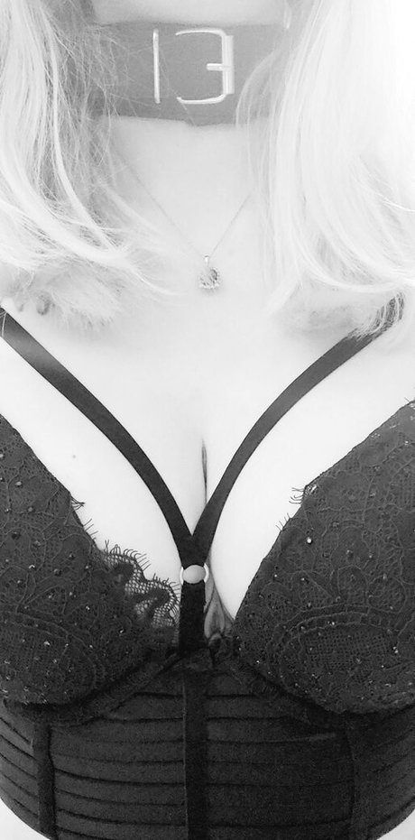 skyestone9 model free img