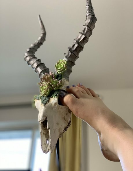 ginger ed sexy star photo