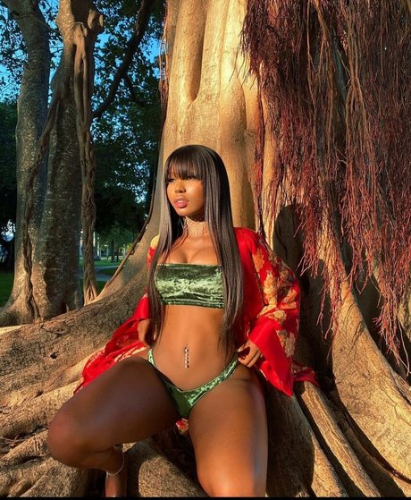 Ninarari star art img