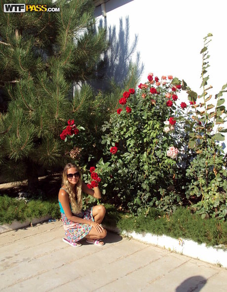 WTFPass pornstar pic