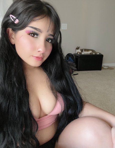 rizzywashere art star images