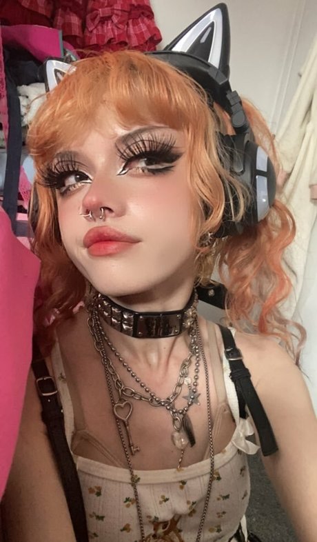 allmyheartbear star best photos