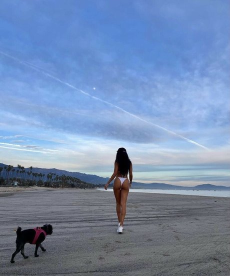 Camille Hyde art star images