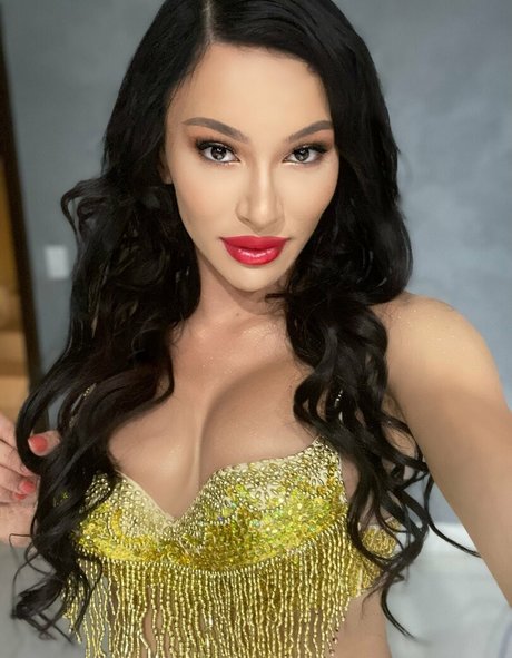 Andylynn Payne pornstar art archive