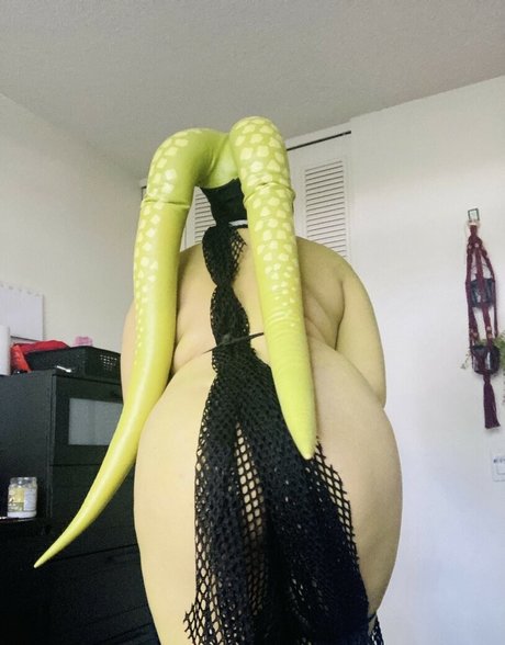 Peony Felicity top star img