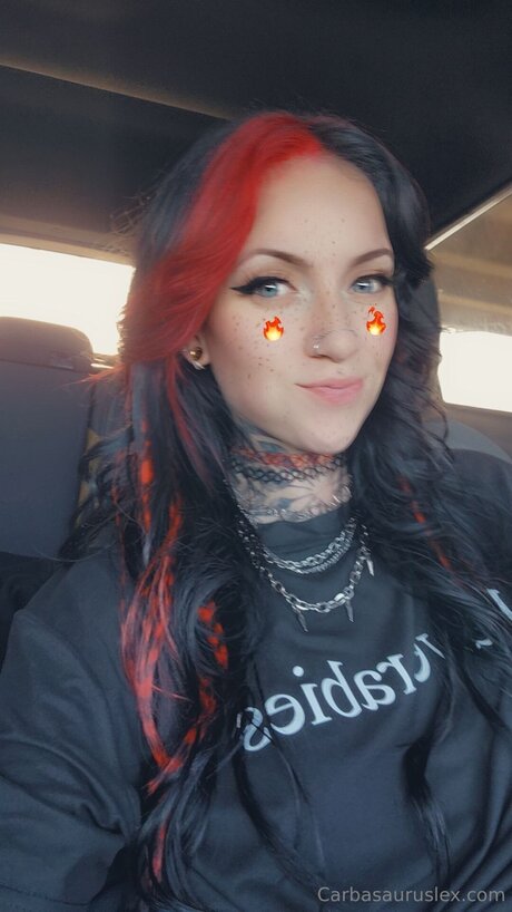 carbasauruslex star top img