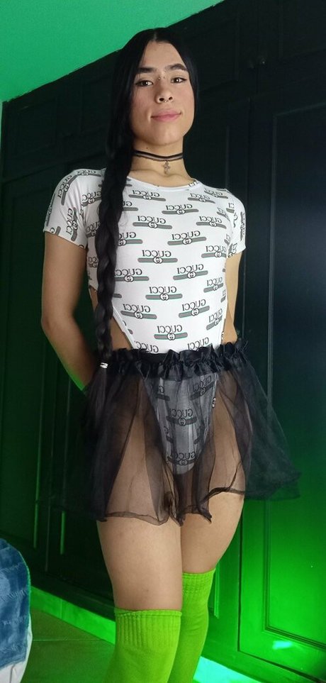 michell sun11 star high quality gallery