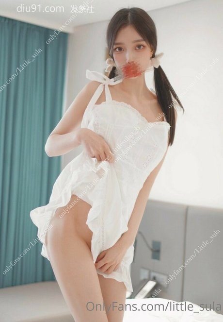 Little sula model top image