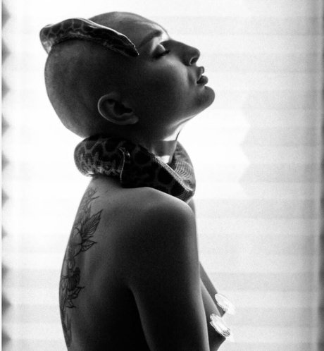 Pelageialynx star high quality galleries