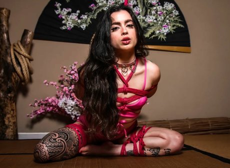 sarahfalmeida star best image