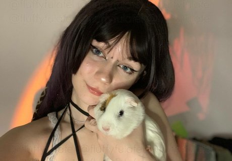 fluffyfulafel Profile pic