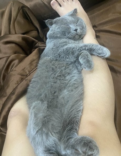 Suniebae nice pornstar archive