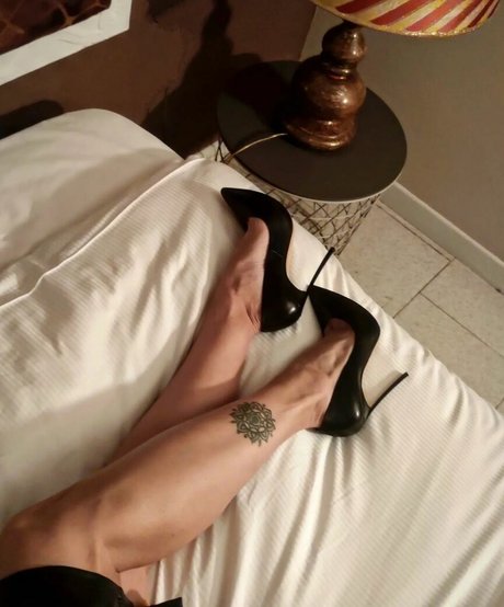 Talia Riva top pornstar img