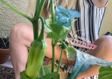 aubriluv porn actress pic