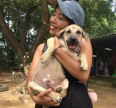 Sml Prsn star hd images