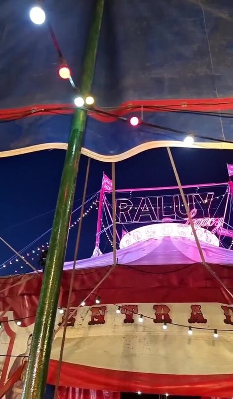 Ann Cygnus exclusive pornstar img