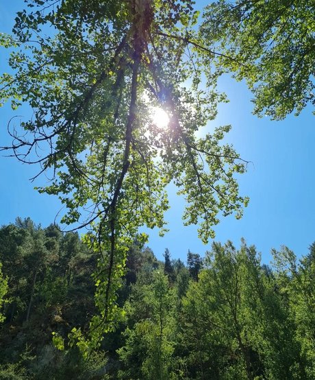 Ann Cygnus beautiful actress images