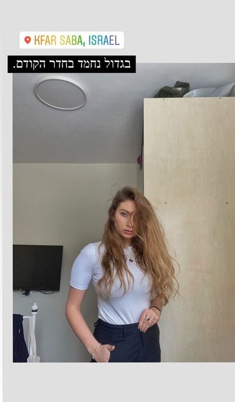 Shachar Alkoser star free gallery