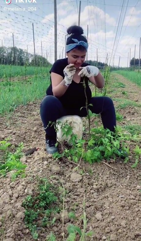 Melannia model art archive