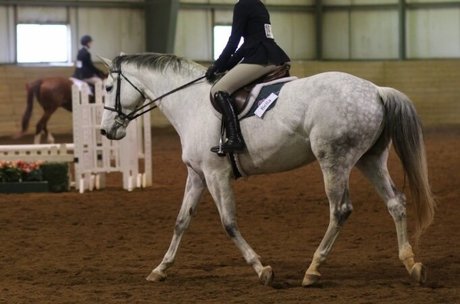 burkekelleher porn actress gallery