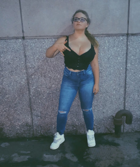 Harley Stein star pornographic image