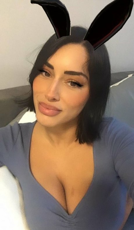 Daqnagold star high quality photos