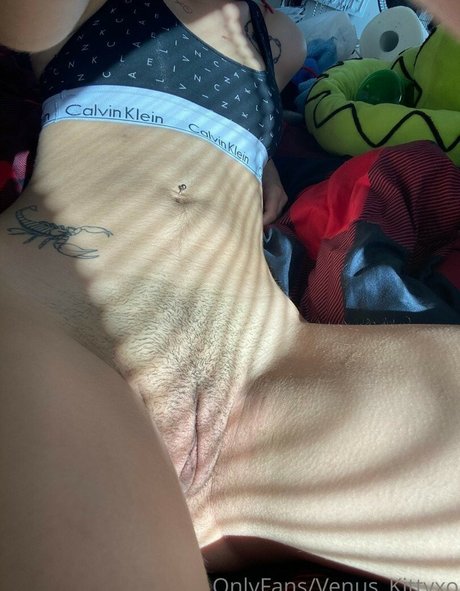 Venus Kitty star xxx pictures