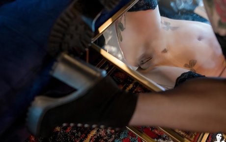 Filicity best star pictures