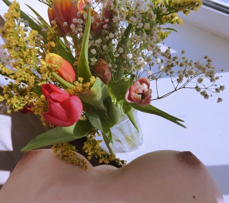 Lolihokage pornstar nudes image