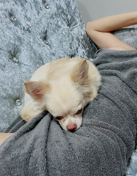 September K hd actress galleries