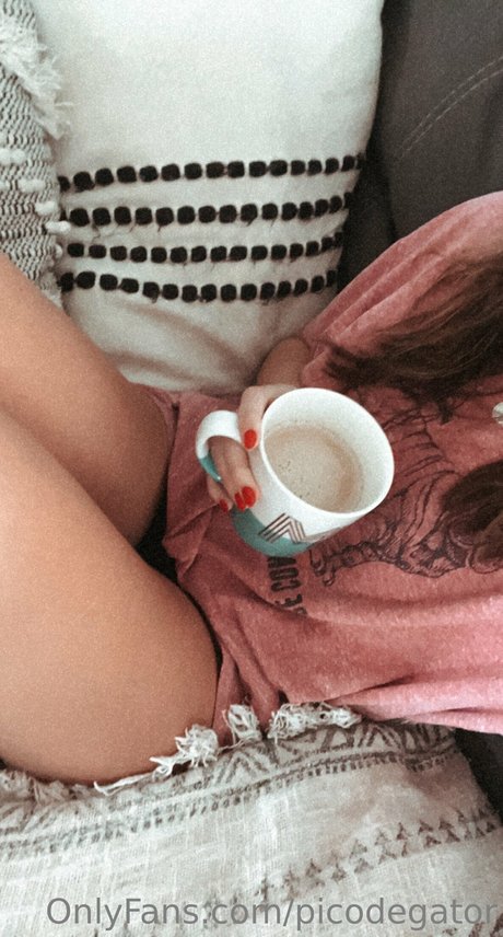 Picodegator pornstar best img