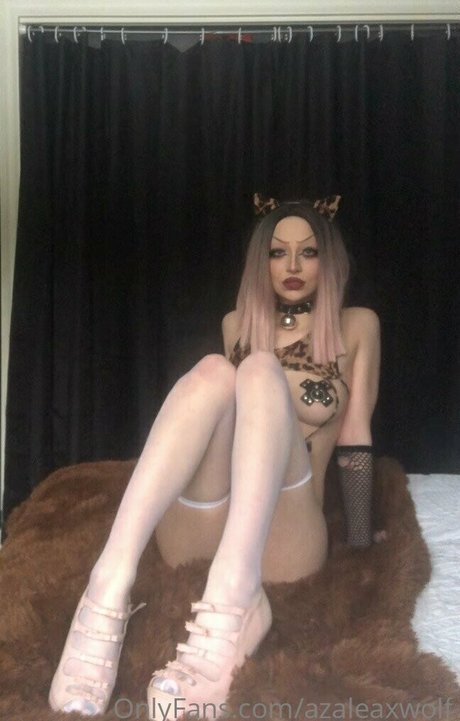 Azaleax Wolf_ star adult image