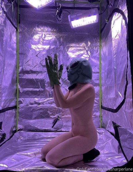 missharperlane pornstar high quality gallery