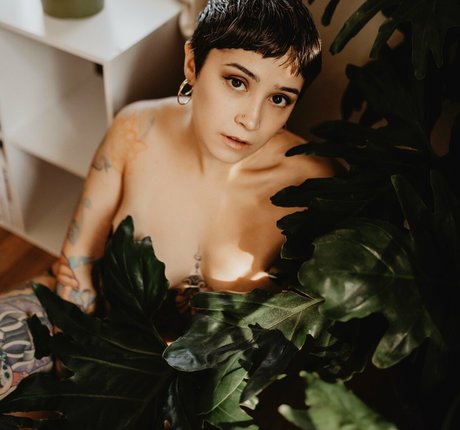 Jaclyn pornstar high quality photos