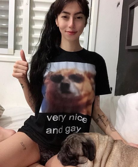 Trizpac star free photos