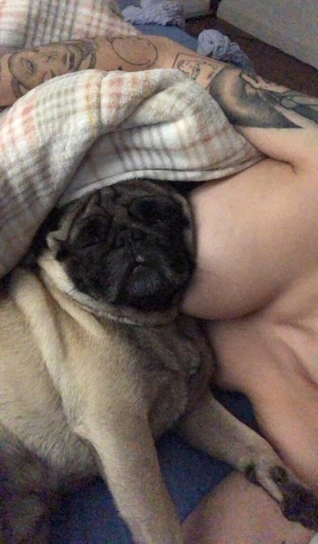 Trizpac erotic actress pictures