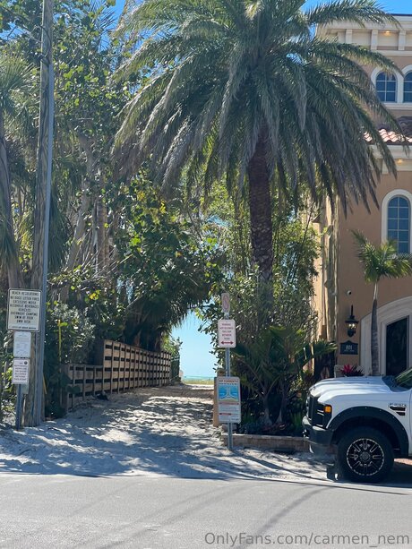 carmen nem pornographic actress photos