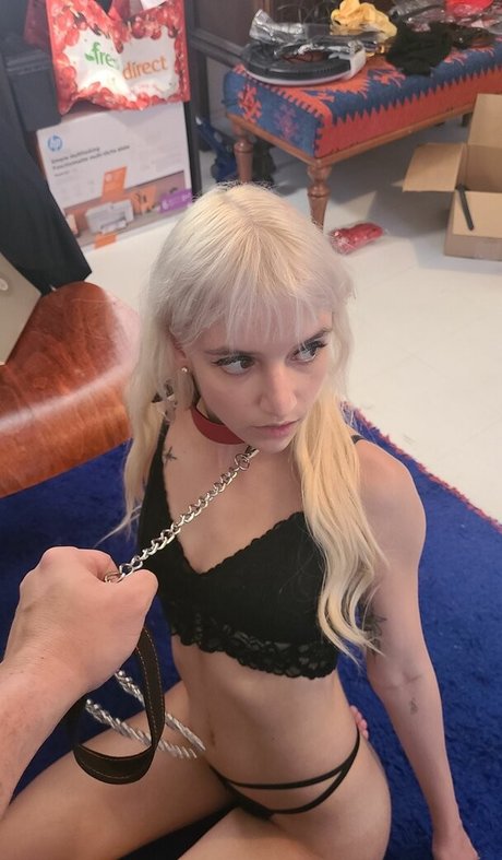 catsandkittens456 pornstar art pics