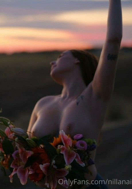 Nillanai top model images