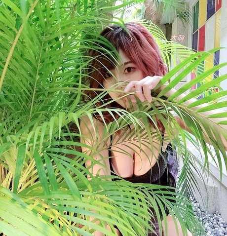 tw901173 adult star photo